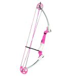 Pink Custom Genesis Bow for NASP and School Programs