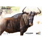 Target Blue Wildebeest.jpg