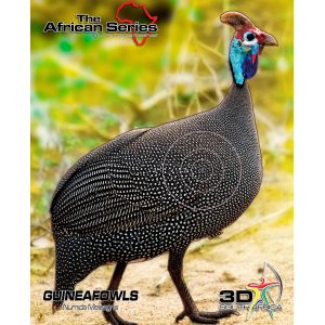 Target Guinea Fowl.jpg