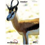 Target Springbuck.jpg