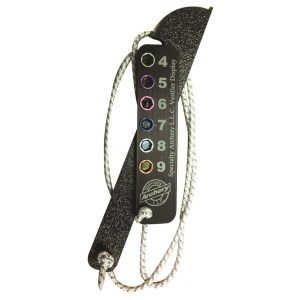 SA Verifier display tool.jpg