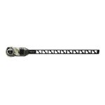 ST Math BLS 10 Kuiu.jpg