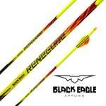 Black Eagle Renegade Hunting Arrows