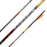 Black Eagle X-Impact Target and Hunting Arrows