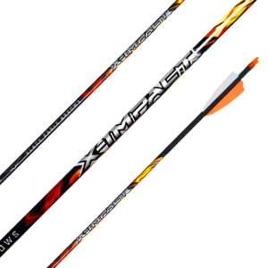 Black Eagle X-Impact Target and Hunting Arrows