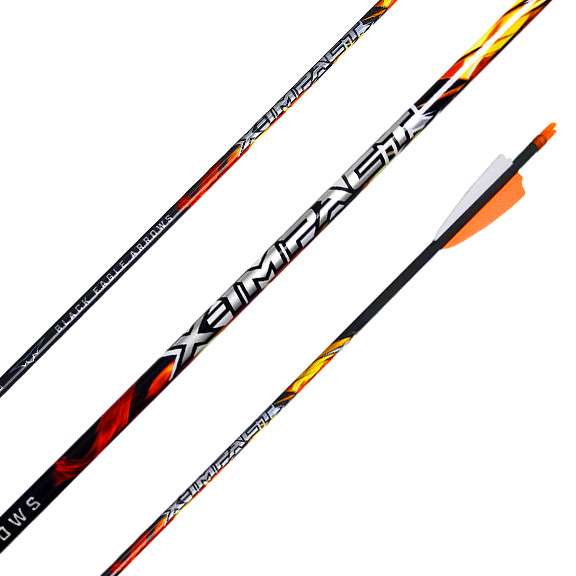 Black Eagle X-Impact Target and Hunting Arrows