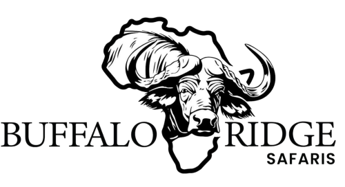 Bufallo Ridge Safaris Logo Transparent 500x272