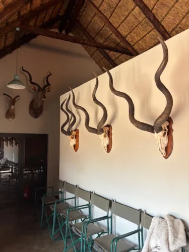 Buffalo Ridge Safaris Hunting Directory Image 00004 375x500