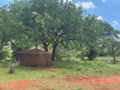 Buffalo Ridge Safaris Hunting Directory Image 00008 500x375