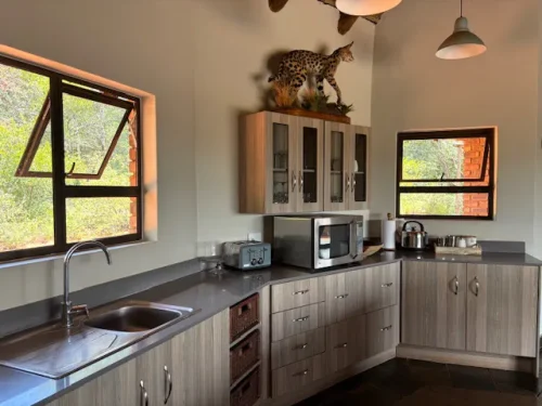 Buffalo Ridge Safaris Hunting Directory Image 00010 500x375