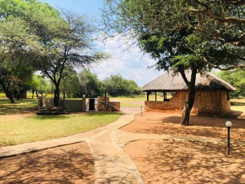 Dirtholo Game Breeders Directory 2 500x375