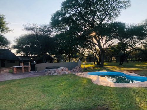 Dirtholo Game Breeders Directory 4 500x375