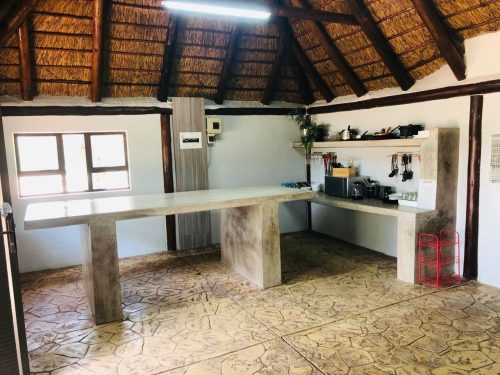 Dirtholo Game Breeders Directory 8 500x375