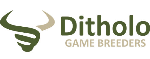 Dirtholo Game Breeders Logo 500x197