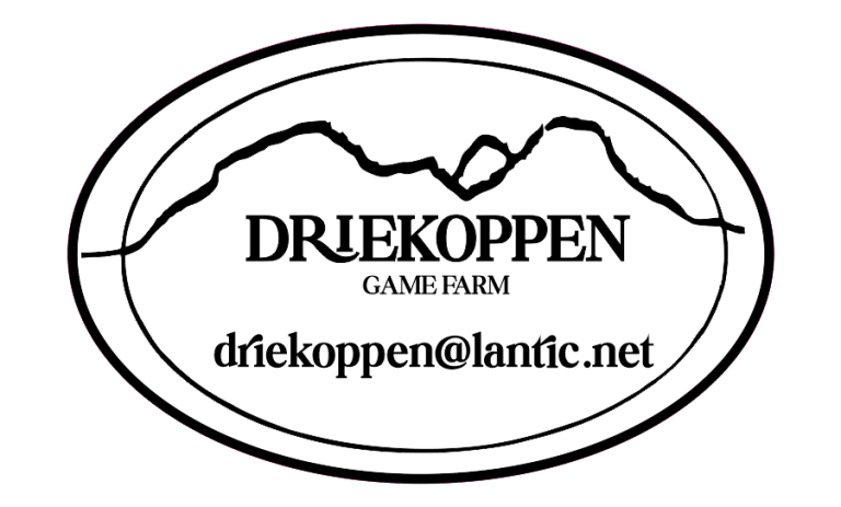 Driekoppen Logo 768x463