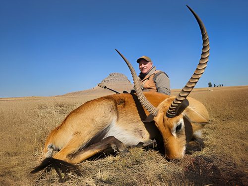 Driekoppen Logo hunting directory 00001 500x375