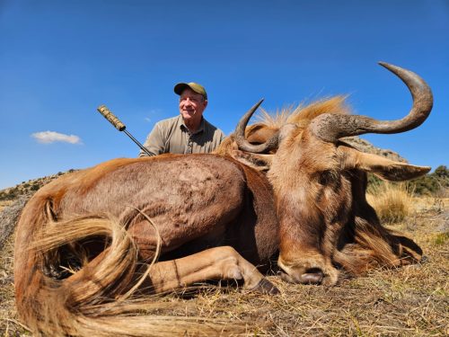 Driekoppen Logo hunting directory 00002 500x375