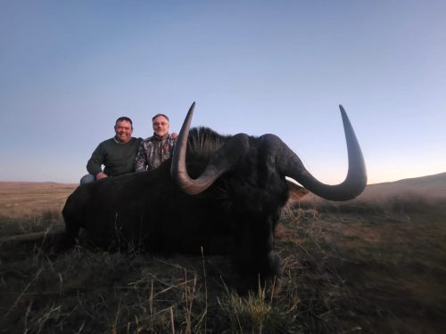 Driekoppen Logo hunting directory 00003 500x375