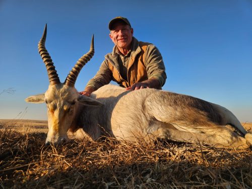 Driekoppen Logo hunting directory 00004 500x375
