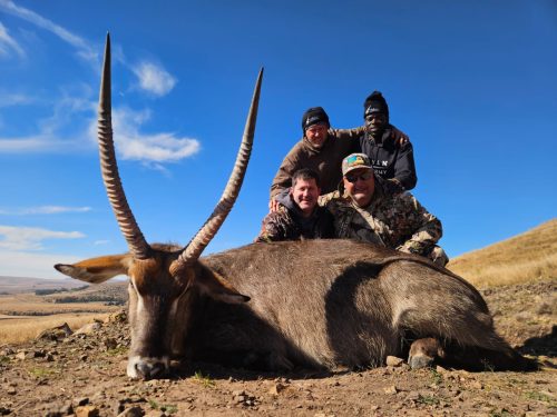 Driekoppen Logo hunting directory 00005 500x375