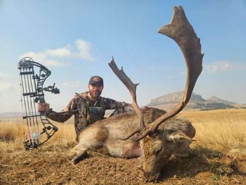 Driekoppen Logo hunting directory 00006 500x375