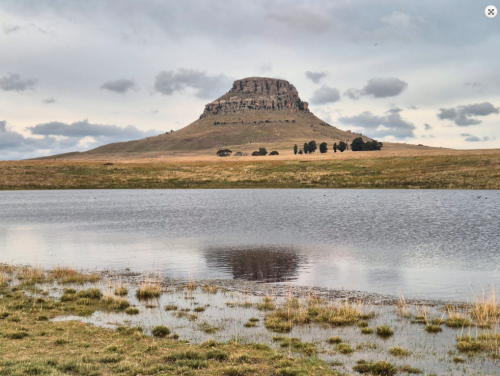 Driekoppen Logo hunting directory 00009 500x376