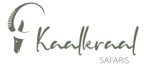 Kaalkraal Safari Logo 500x232