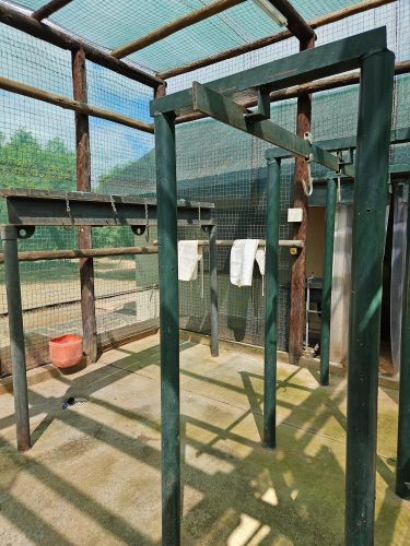 Ludwigslust plaas Petershof Slag Geriewe 2 375x500