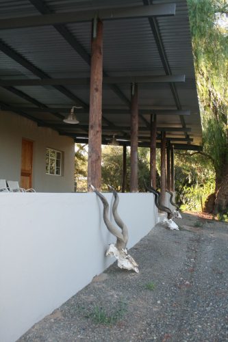 Rietfontein Game Farm accom Hunting Driectory 00001 333x500