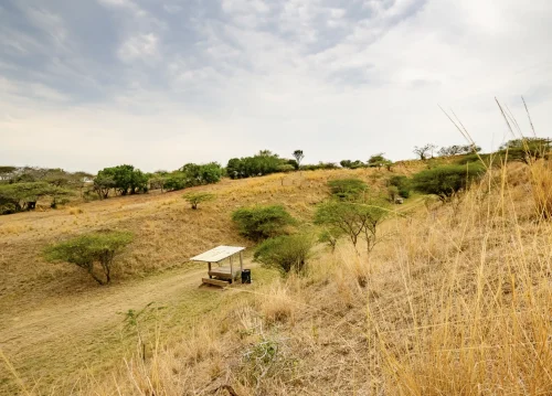 Tonevale Game Ranch Hunting Directory 00003 500x359
