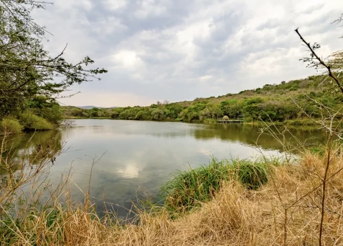 Tonevale Game Ranch Hunting Directory 00004 500x359