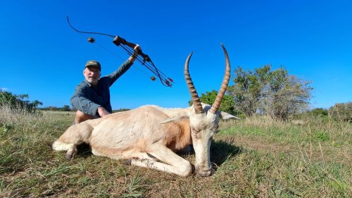 Summers Pride Safaris Hunting Directory 00011 500x281