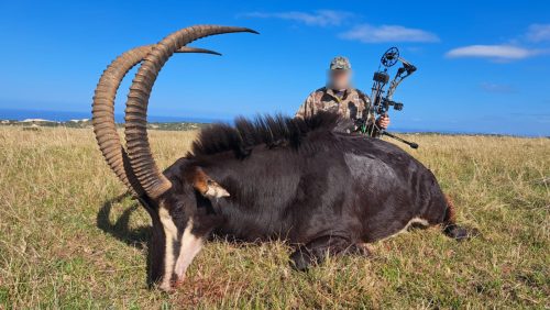 Summers Pride Safaris Hunting Directory 00012 500x282