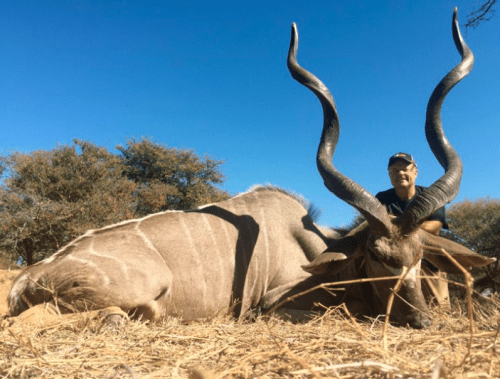 Wild Wildebeest Lodge Hunting Directory 00005 500x379
