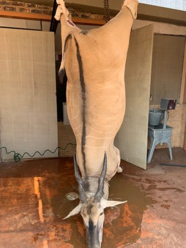 African Footprint Safaris Bowhunting Directory00010 375x500