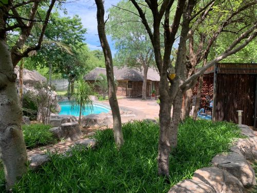 African Footprint Safaris Bowhunting Directory00016 500x375