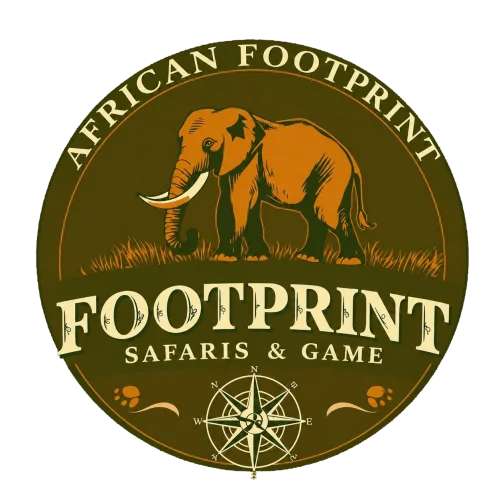African Footprint Safaris Logo Transparent 500x500