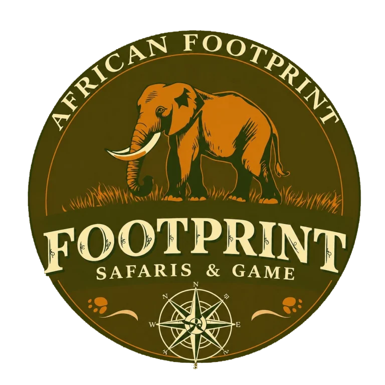 African Footprint Safaris Logo Transparent 768x768