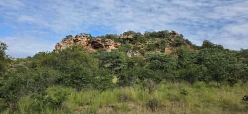 Jutland Lodge Mopane Bowhunting Directory00010 500x231