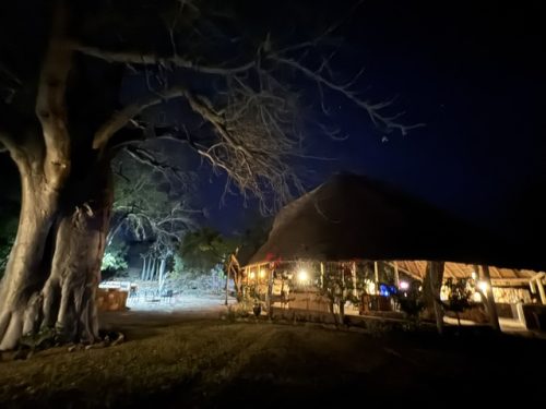 Jutland Lodge Mopane Bowhunting Directory00011 500x375