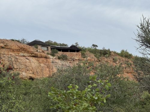 Jutland Lodge Mopane Bowhunting Directory00012 500x375