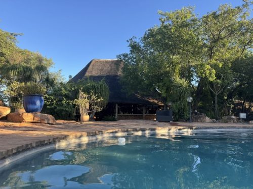 Jutland Lodge Mopane Bowhunting Directory00013 500x375