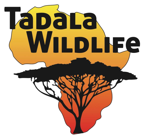 Tadala Wildlife Logo Transparent 500x476
