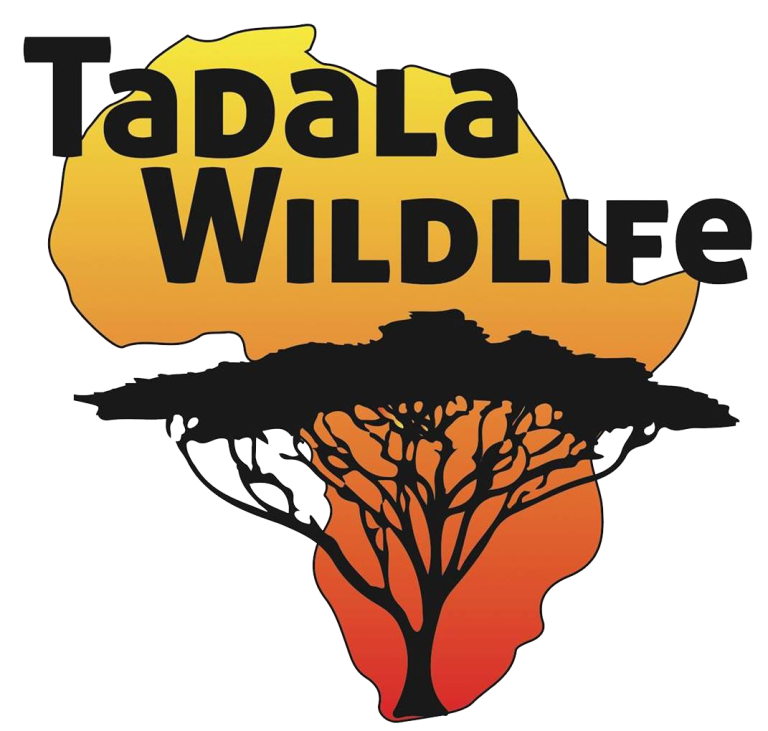 Tadala Wildlife Logo Transparent 768x731